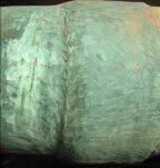 diamondwrap-firewater-line-crack-repairs-in-mexico-3