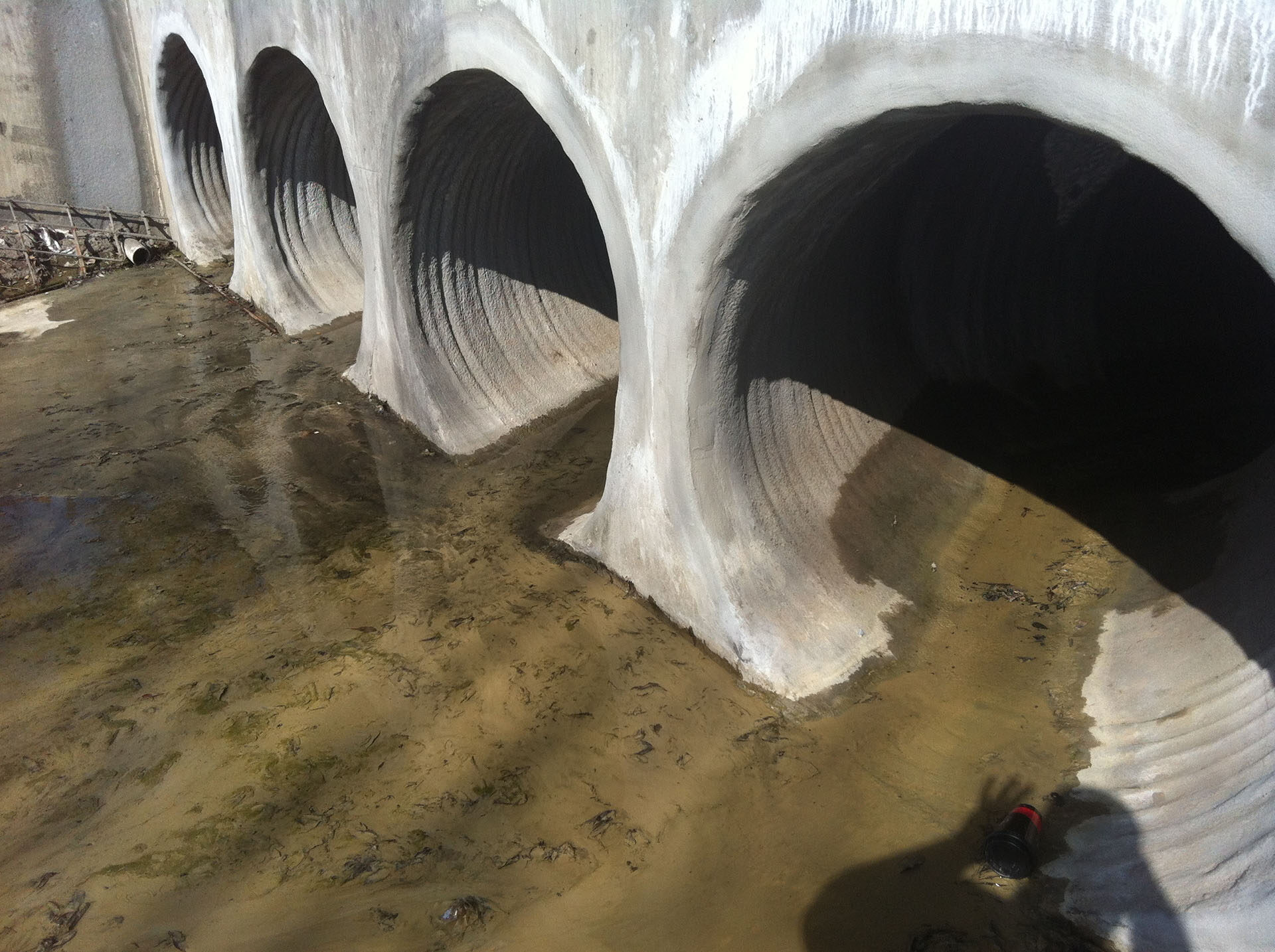 GeoTree Concrete Solutions