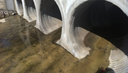 GeoTree Concrete Solutions GeoTree Concrete Solutions