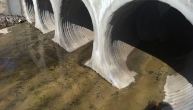 GeoTree Concrete Solutions GeoTree Concrete Solutions