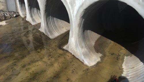 GeoTree Concrete Solutions GeoTree Concrete Solutions