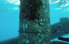 diamondwrap-subsea-riser-rehabilitation-in-caribbean-1