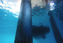 diamondwrap-subsea-riser-rehabilitation-in-caribbean-3