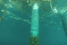 diamondwrap-subsea-riser-rehabilitation-in-caribbean-7