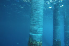 diamondwrap-subsea-riser-rehabilitation-in-caribbean-8